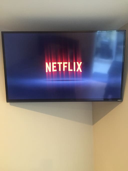 Internet connected smart HDTV with Netflix!