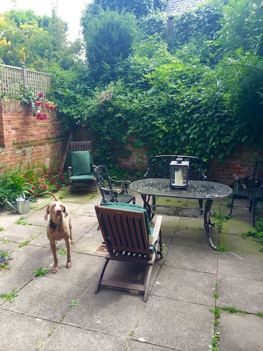 Lovely enclosed outside patio and garden area.