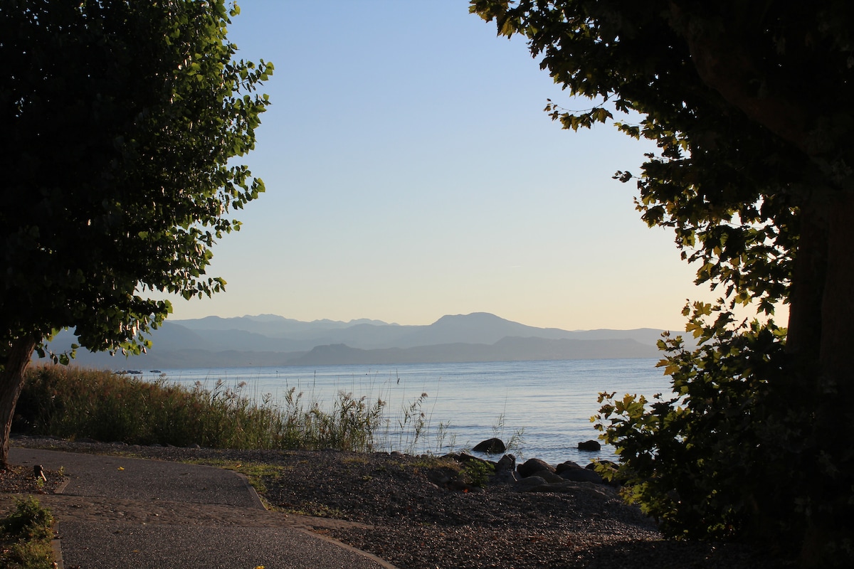 A serene view of a calm lake is framed by lush trees and grasses, with distant mountains visible on the horizon. The tranquil water reflects the soft light of the early evening sky, creating a peaceful atmosphere.