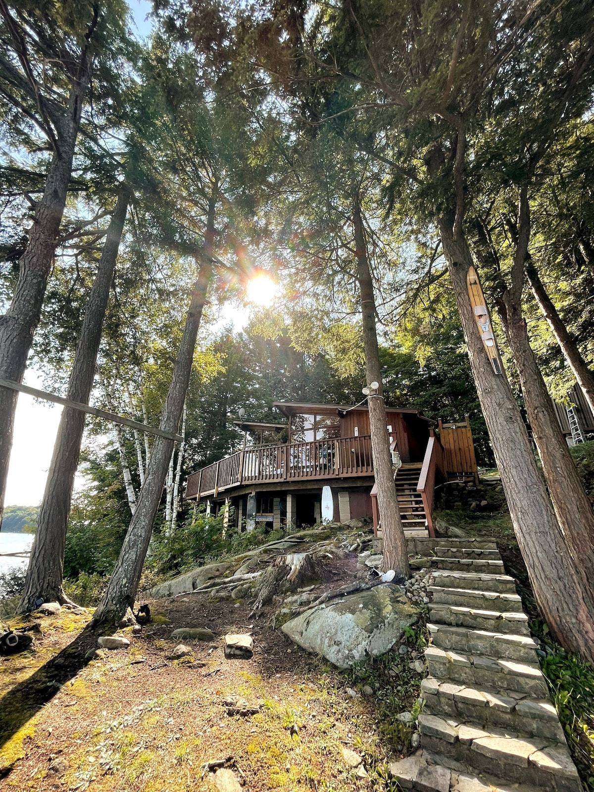 A cedar cottage is nestled among tall trees, with sunlight filtering through the foliage. Stone steps lead from the ground up to the deck, where outdoor seating is visible. The surrounding natural landscape enhances the sense of seclusion and tranquility.