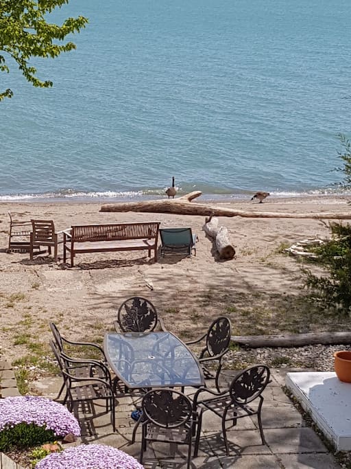 View from Balcony Stairs