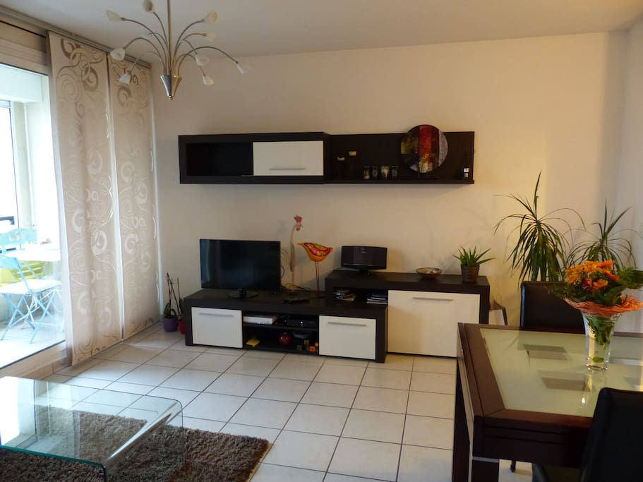 Salon / salle à manger / cuisine ouverte