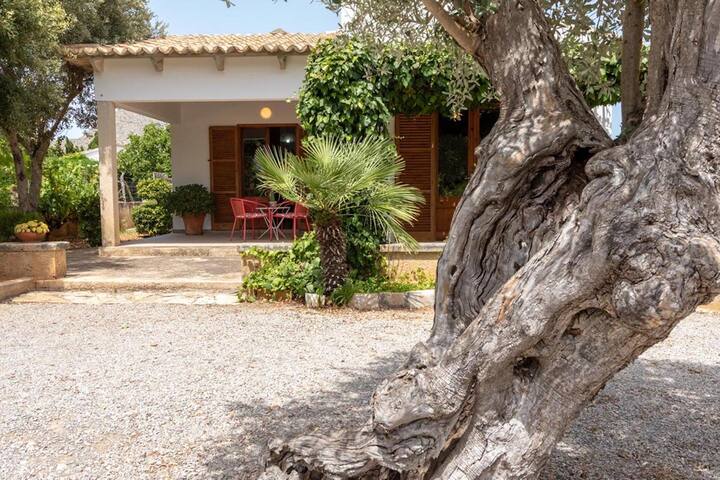 La Vinya Can Oliver gallery image 3