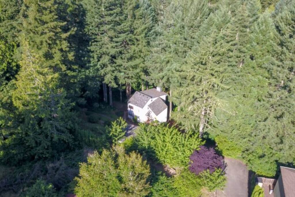 House nestled in your own private forest