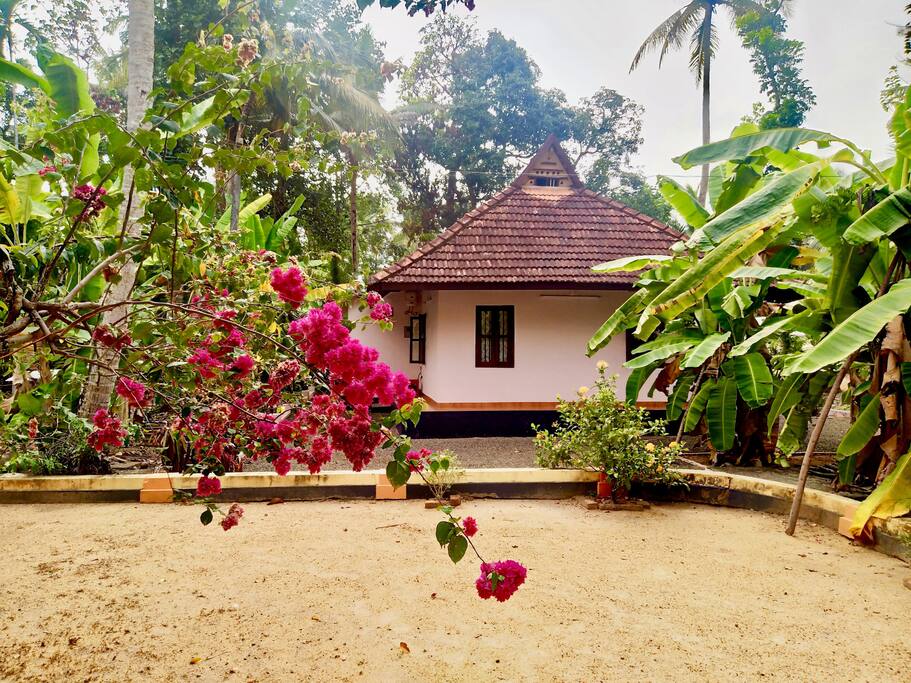 Side View