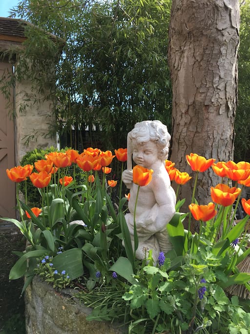 Hugo au printemps
