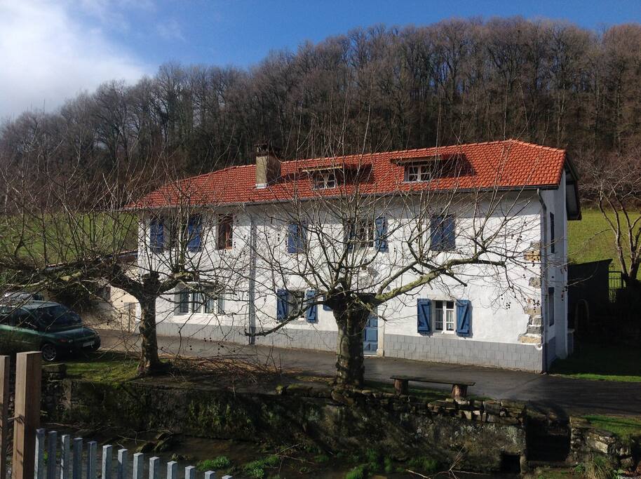 The house in winter, when the plane trees are bare of leaves