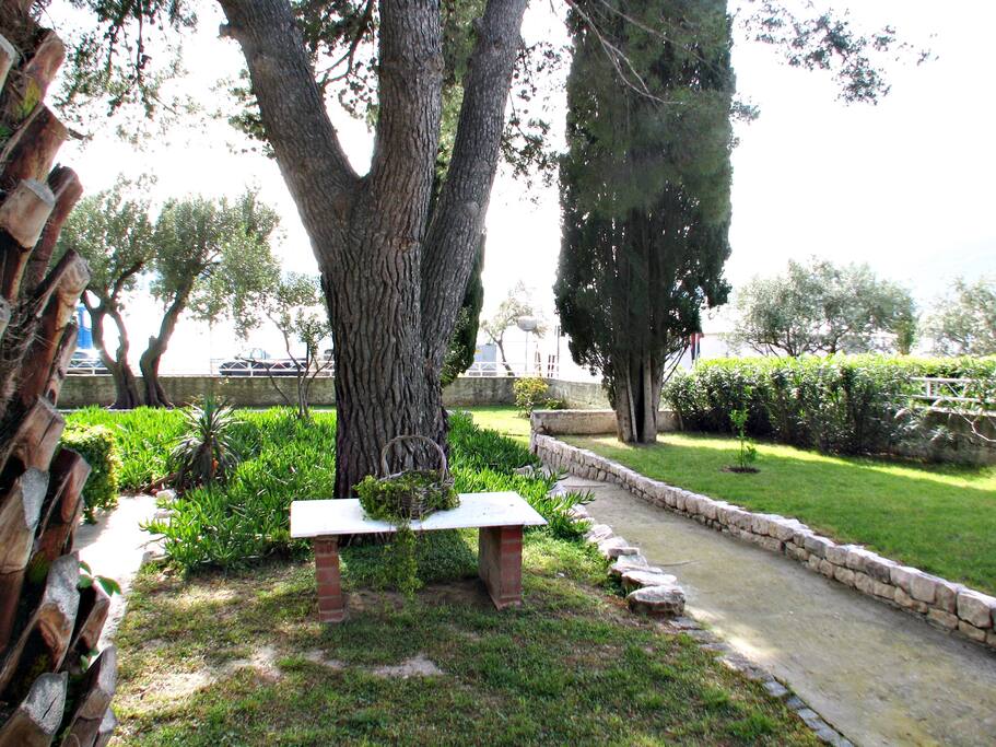 own garden