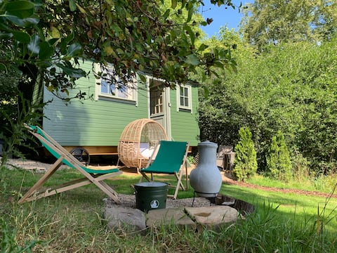 Escape into Nature - Owl