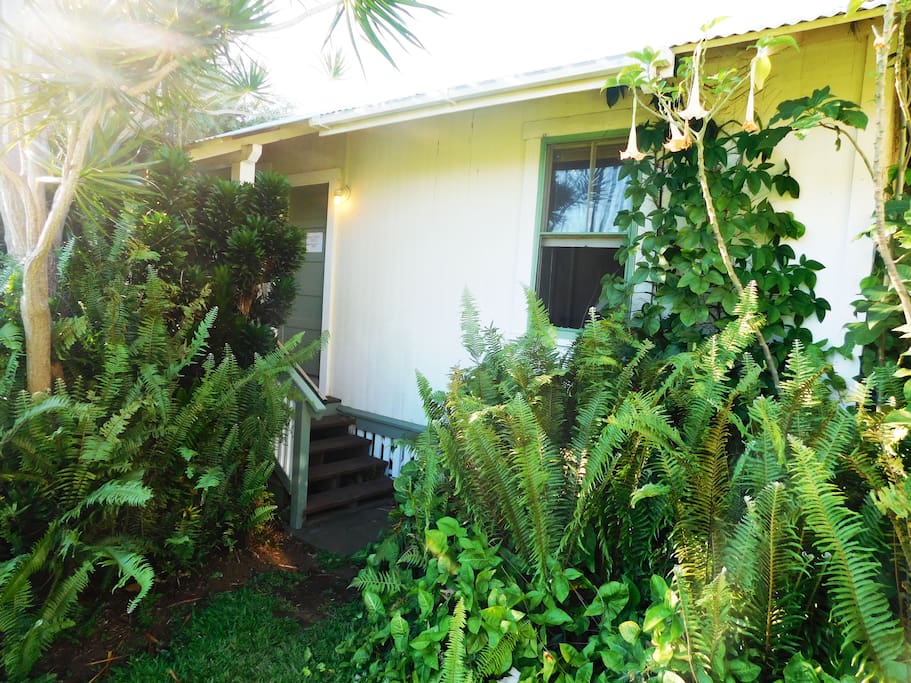 Tropical ferns, fragrant trumpets and passion fruit are just out the window. Photo by William Neal