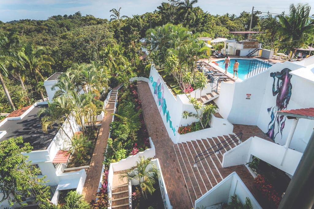Feels like you’re inside the jungle. Amazing to wake up hearing the monkeys and birds. – Dania