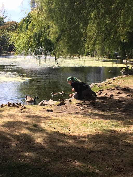 This lovely park (Beacon Hill) is only a five minute walk away. Please don't feed bread to the ducks though! Flatted oats only for their little tummies!