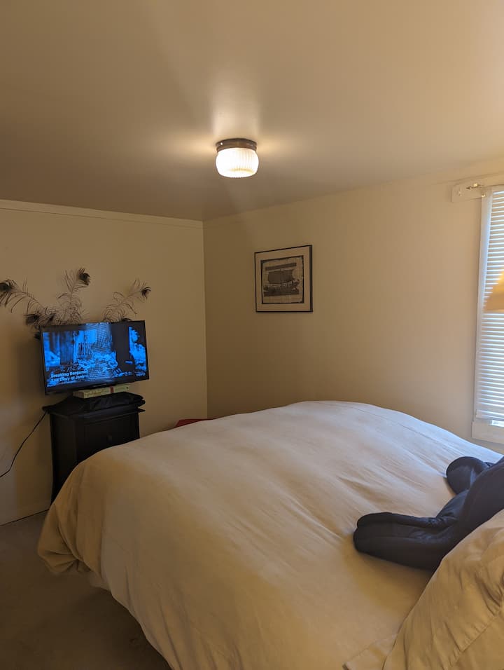 Sealy Therapeutic Bed for elevating feet or head.  Down Duvet & Pillows. SMART TV with basic free channels, PBS, Sports & Netflix with a remote control.  