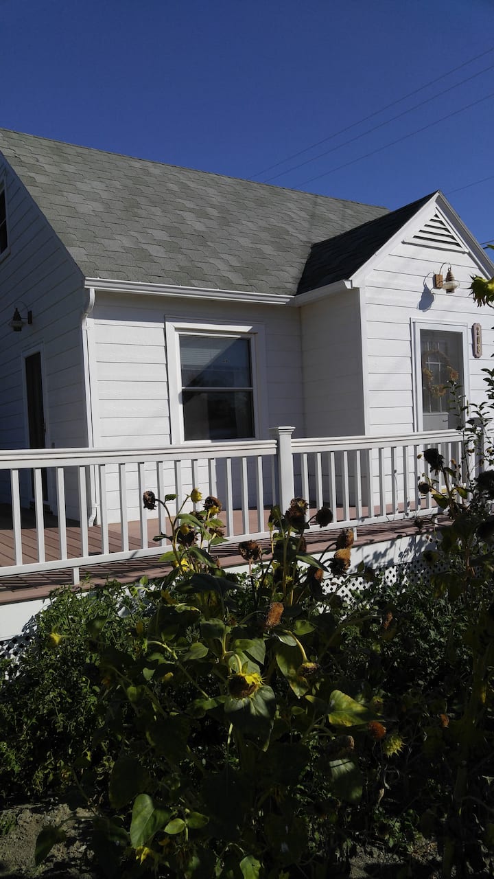 Havre Vacation Rentals & Homes Montana, United States Airbnb