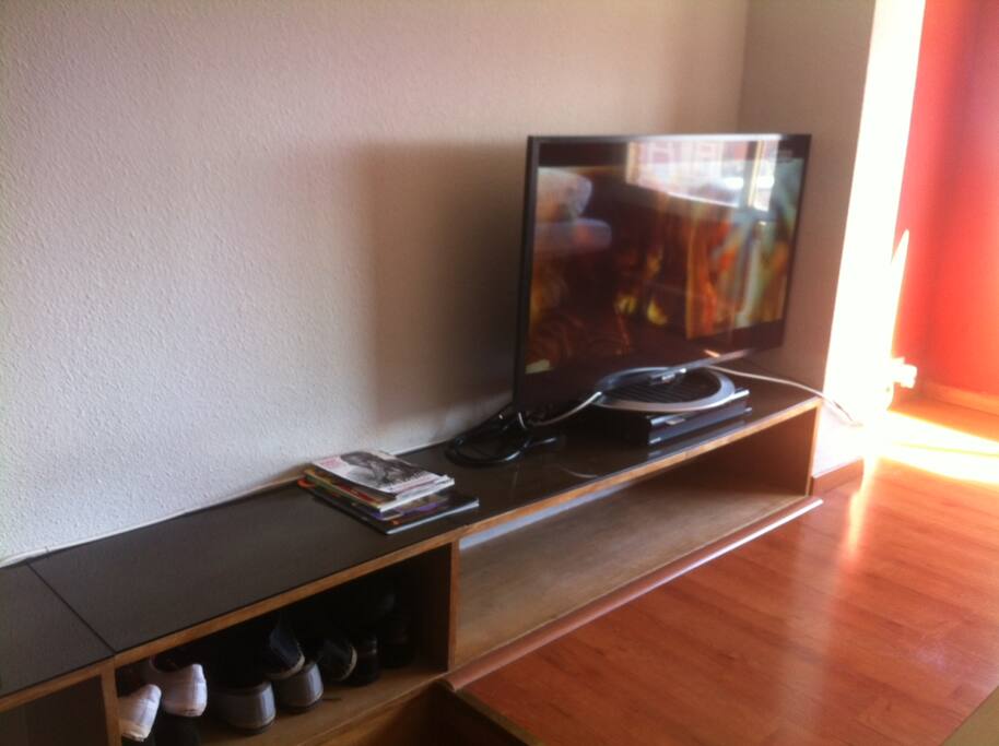 Flat Screen 42"