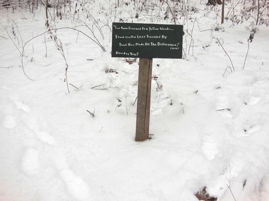 The start of hiking trails: "Two roads diverged ..." - Robert Frost. Which will you take? 43 acres of woods and leas to explore.