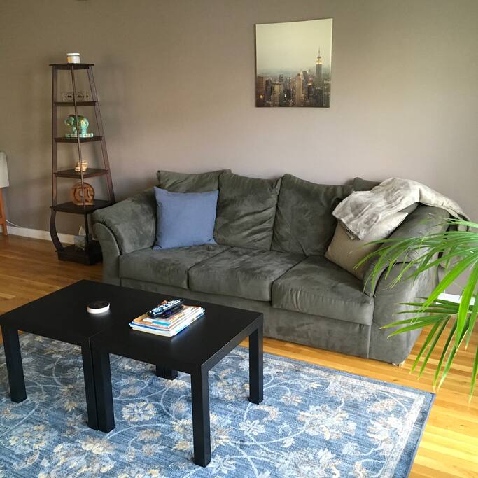 Sofa bed that can accommodate up to 2 people comfortably.