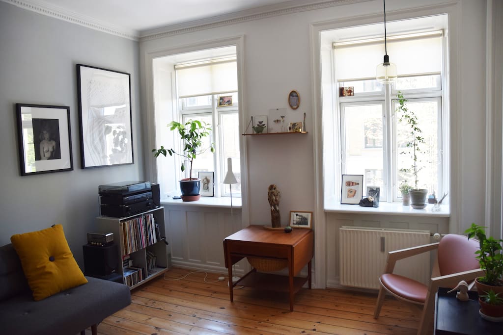 South facing living room with hi-fi and sofabed