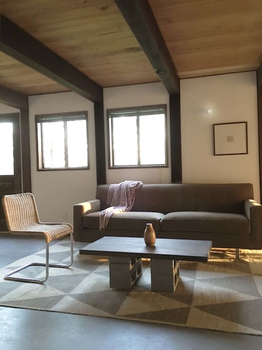 Couch Available for Extra Guest.