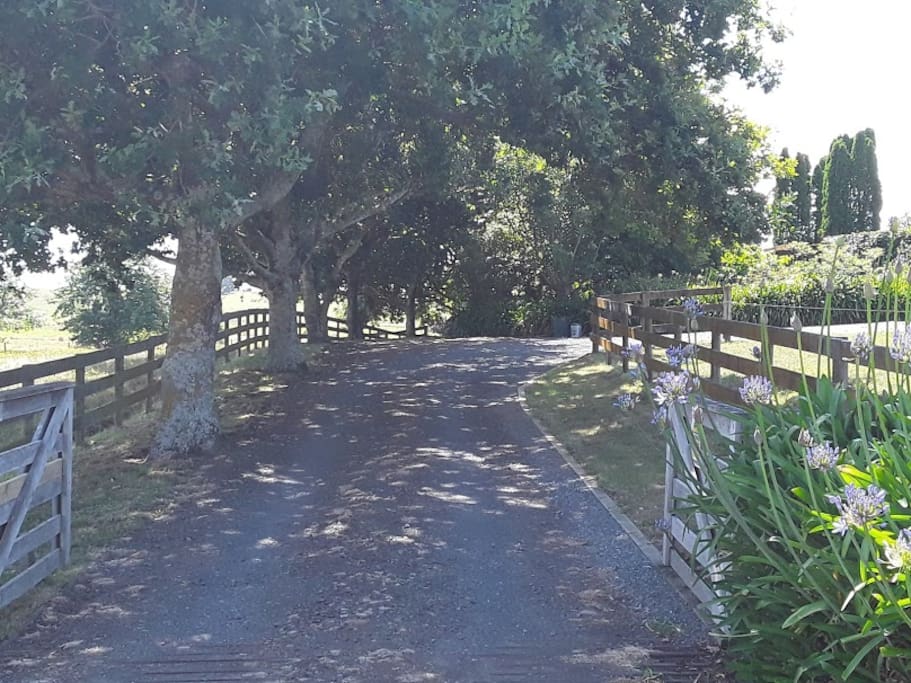 Driveway to Guest House