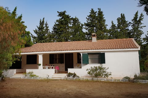 Country house by the coast - Casa di campagna
