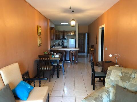 Two-Bedroom Downtown Apartment