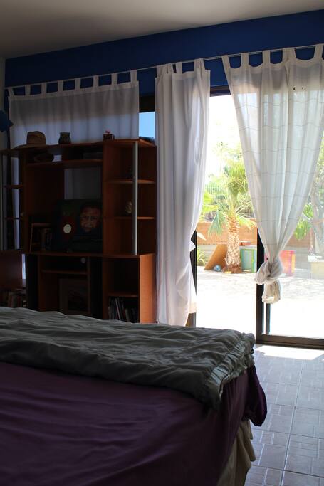 Vista desde tu cuarto, a la palmera