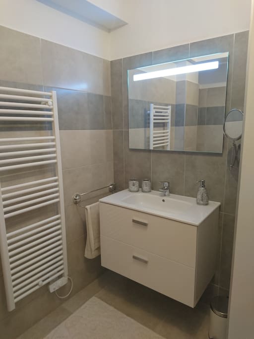 Belle salle de douche avec wc