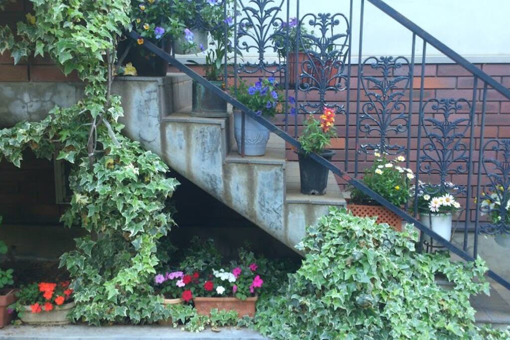 Entrance