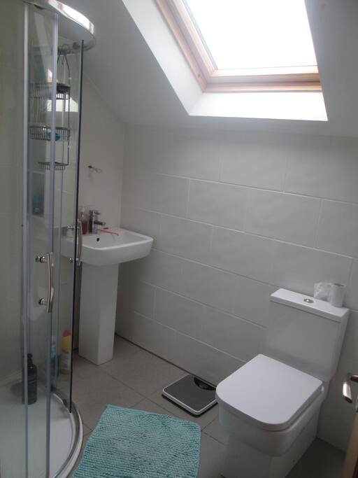 Upstairs Bathroom and Shower