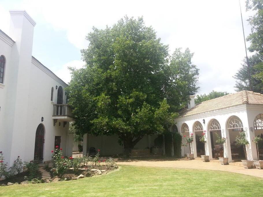 Garden Setting