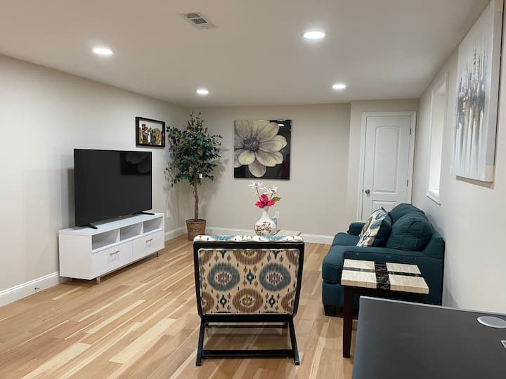 Basement private room with living room and laundry Houses for Rent in