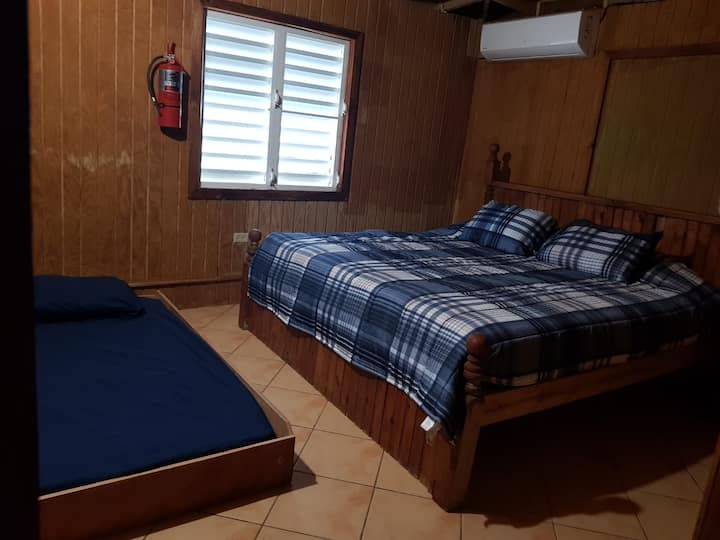 Habitación 1