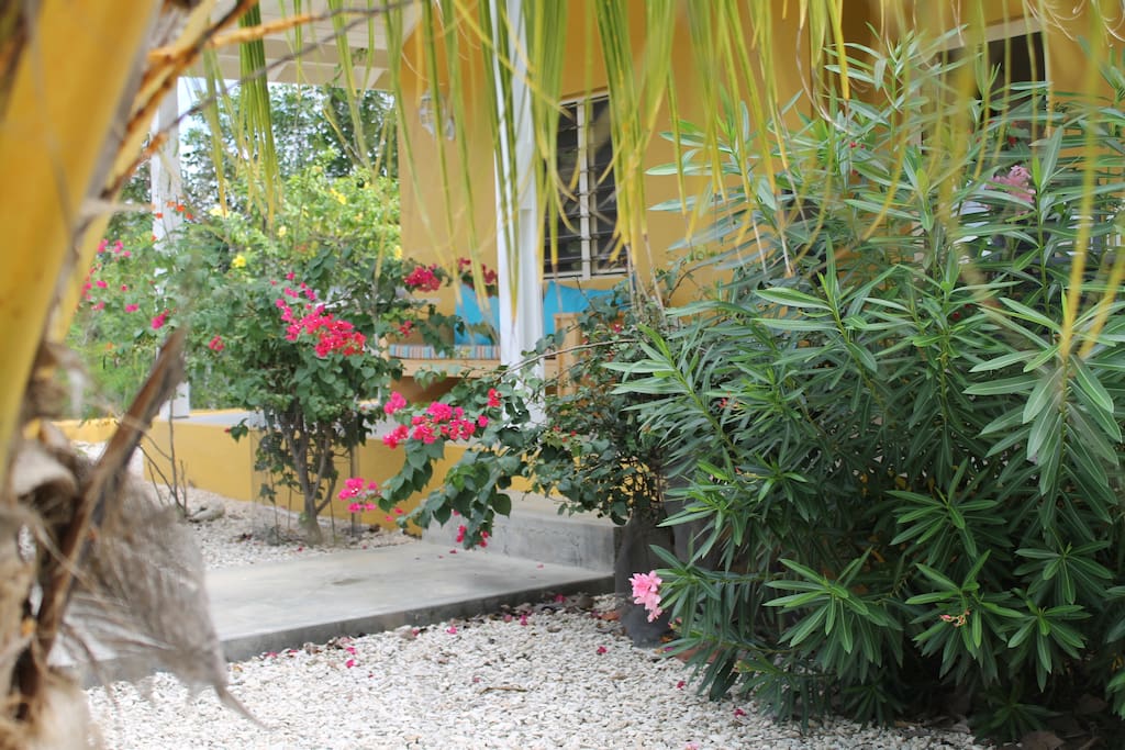 De Oleander en Bougainvillea bloeien er uitbundig