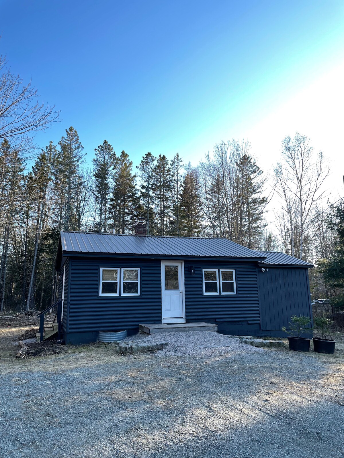 The exterior of a cozy cabin is seen, featuring blue siding and a metal roof. A white door is centered at the front, framed by large windows. A gravel pathway leads to the entrance, surrounded by tall trees and a spacious yard.