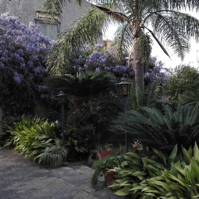 Shared Garden
