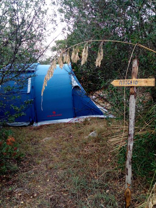 Tenda professionale