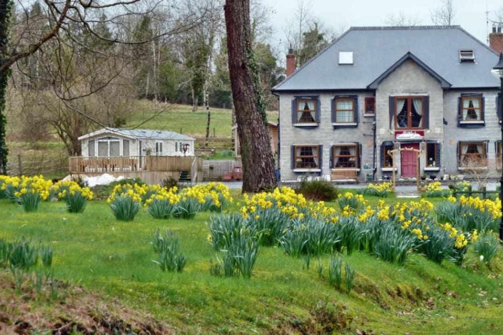 Rahulton's in Springtime