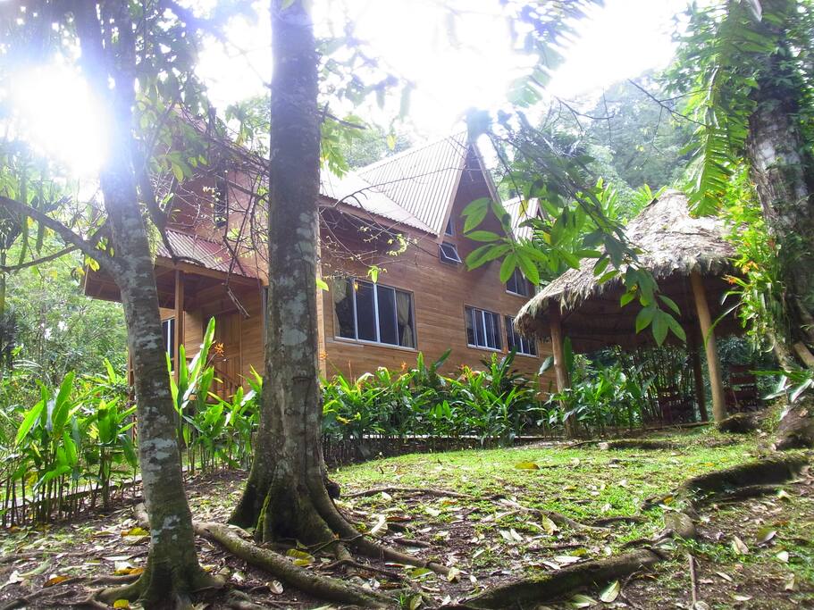 Perezoso House and garden.