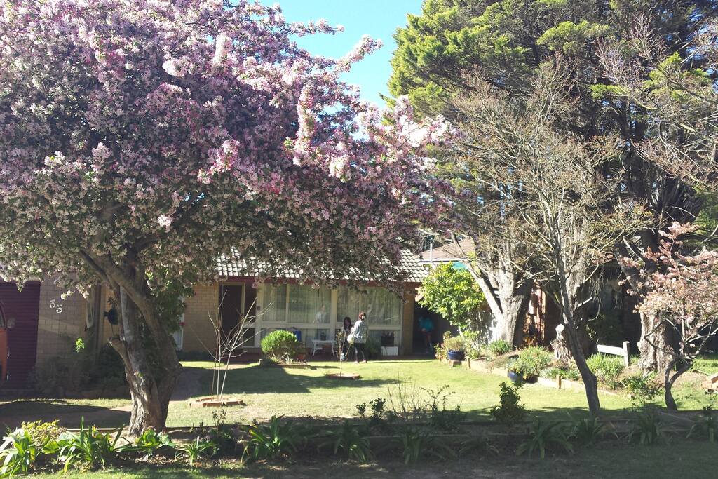 Spring brings life to all the gardens in the Mountains