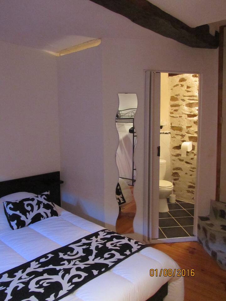 إطلالة على الحمام