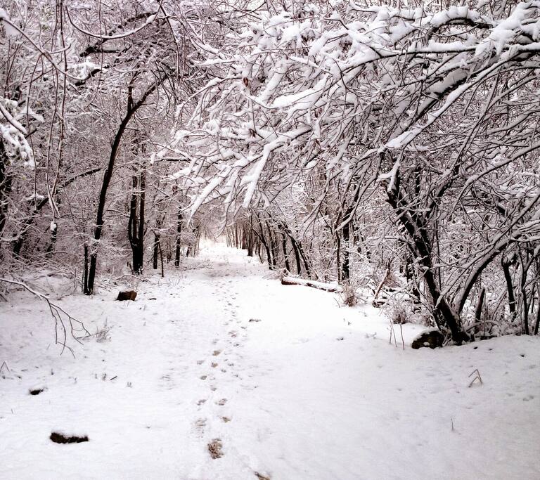 Winter trails, Saugatuck State Park 4 miles away.