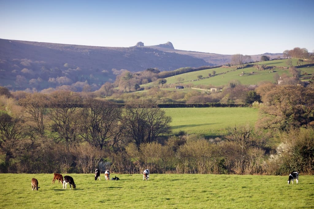 The view to Haytor from the house