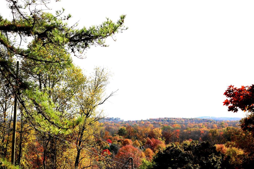 Welcome to the House on the Hill. The Gorgeous and Immaculate House with a SPECTACULAR and PANORAMIC VIEW of NJ Country (Fall Picture-III)