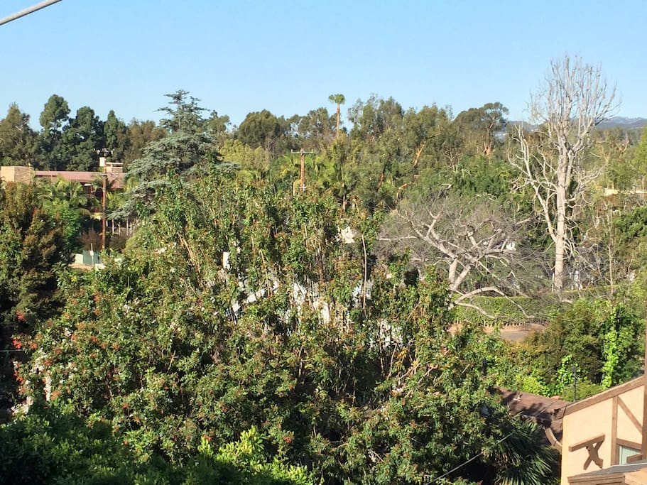 View from Large Private Upper Patio