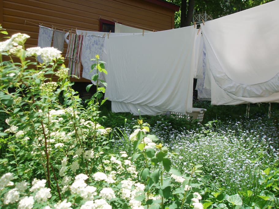 Line-dried sheets whenever possible.