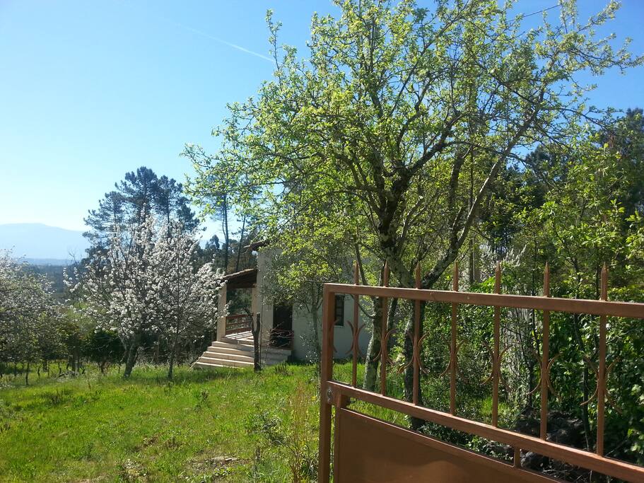 Entree to the vineyards of Casa de Cima