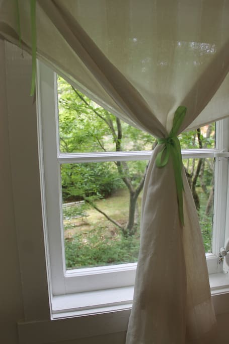 View from one of your bedroom windows.
