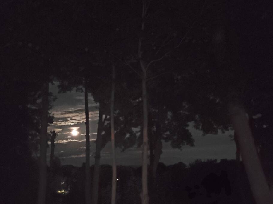 Evening moon view from deck and room