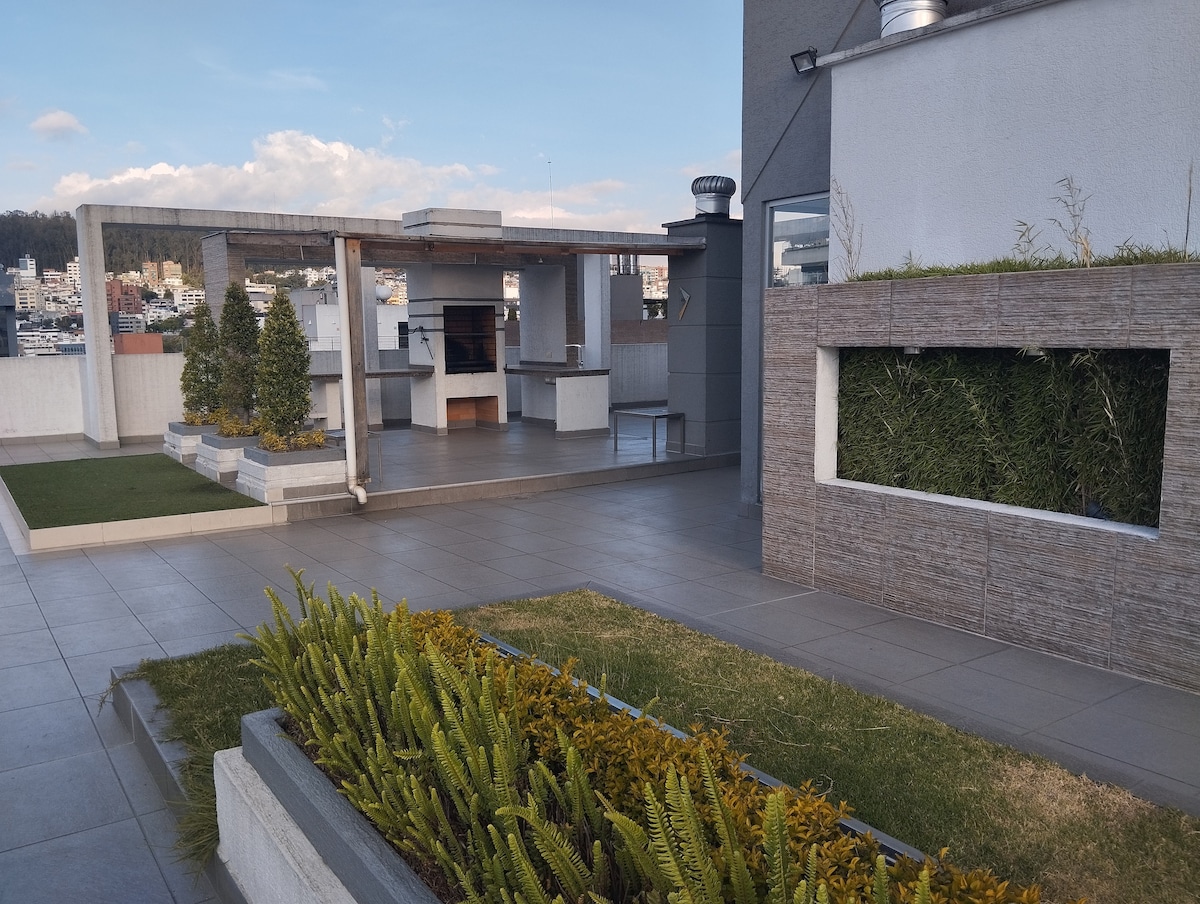 An outdoor social area is visible, featuring a covered terrace with an outdoor kitchen and grill. Neatly arranged greenery and low-maintenance plants line the space, while a paved surface provides an open area for gatherings. The backdrop showcases a distant view of the city.